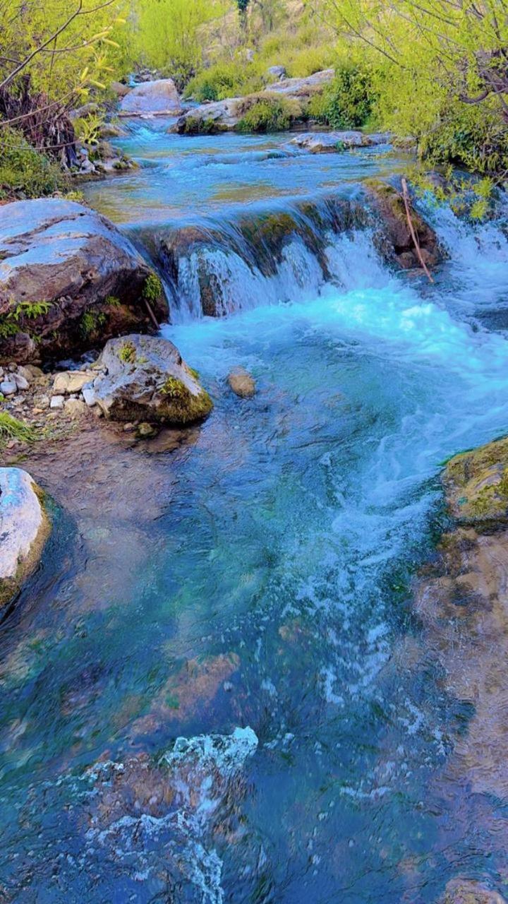 Rivulet Resort & Camping Mussoorie Luaran gambar