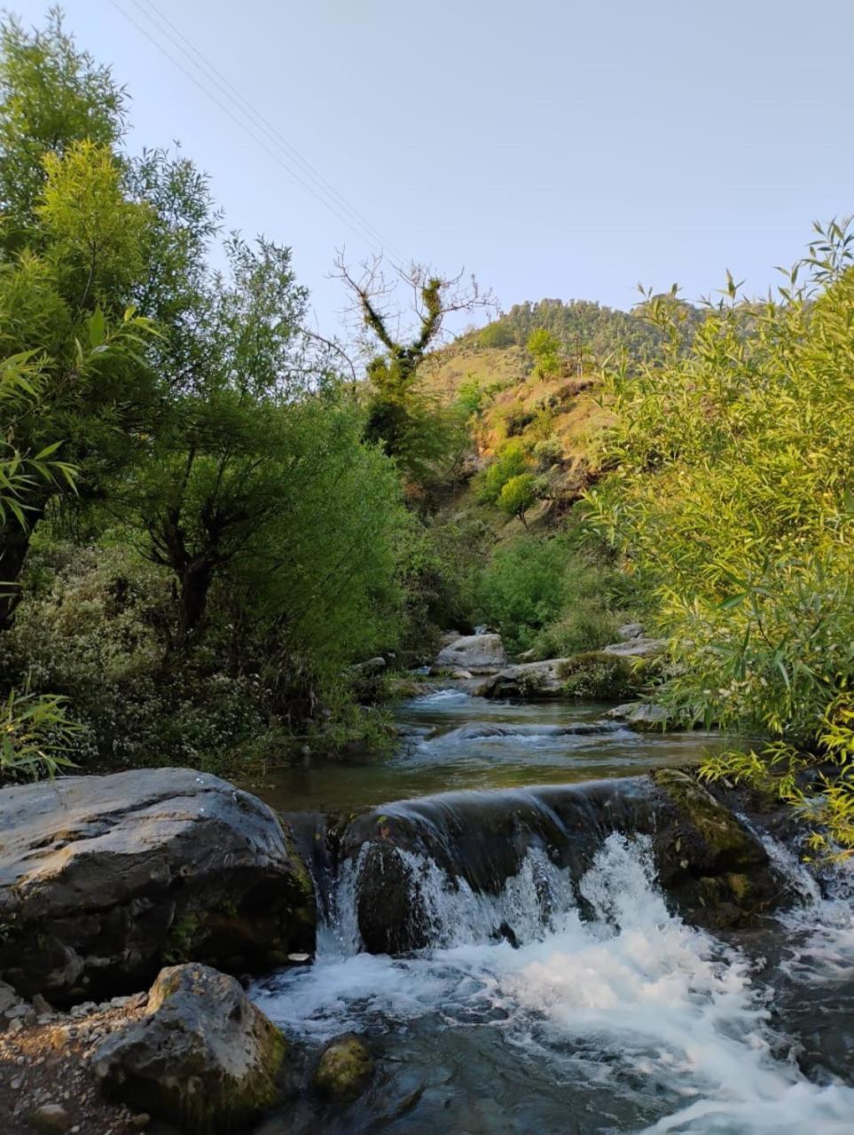Rivulet Resort & Camping Mussoorie Luaran gambar