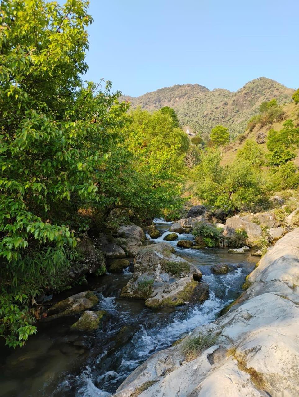 Rivulet Resort & Camping Mussoorie Luaran gambar