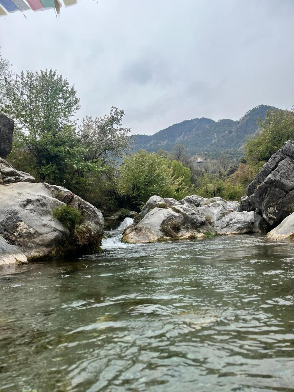 Rivulet Resort & Camping Mussoorie Luaran gambar